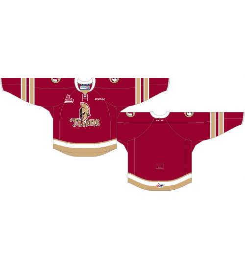 Custom QMJHL Acadie Bathurst Titan 2014-Pres Hockey Jersey Road Red